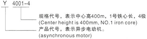 西安泰富西玛Y系列(H355-1000)高压YKS4507-6/560KW三相异步电机型号说明